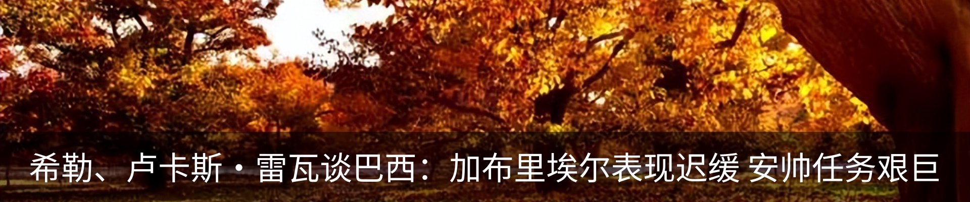 资讯动态